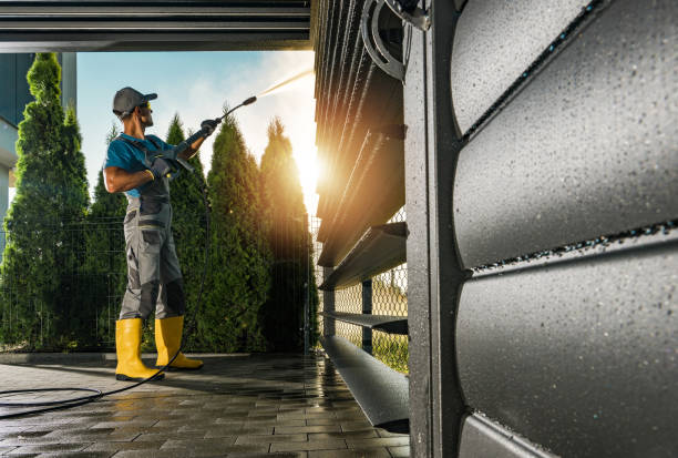 Best Building Exterior Washing  in Tremont, IL